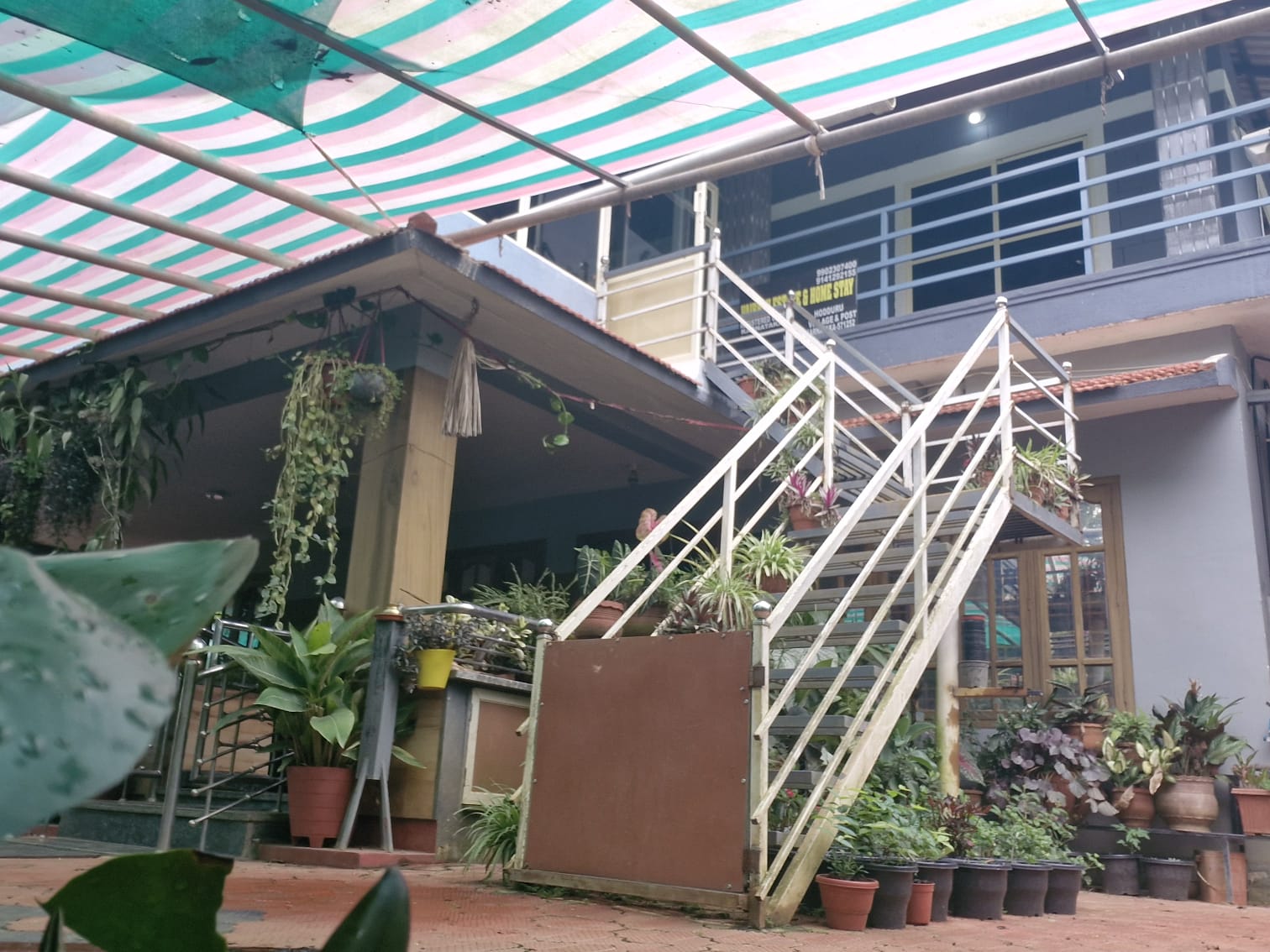 Greenery at Vaibhav Home Stay